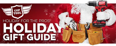 Holiday for the pros 2017